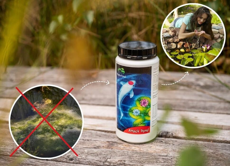 Attack Pond
